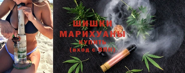 гидра Алексин