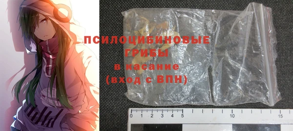 гидра Алексин