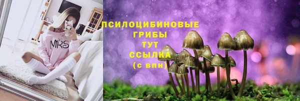 кристаллы Переславль-Залесский